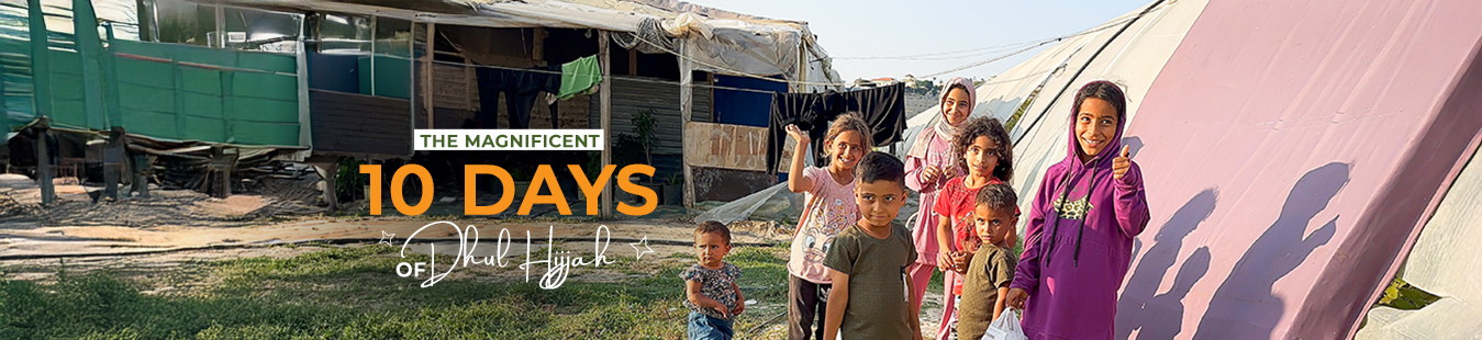 1349-X-310-with-tag (2)